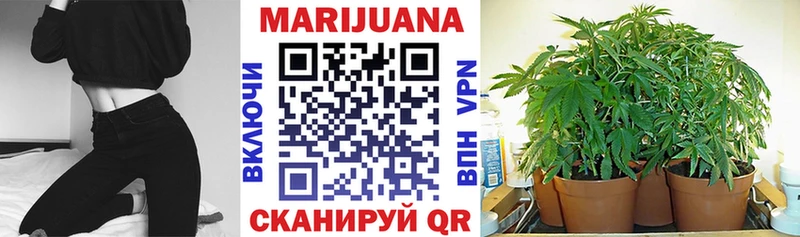 купить наркотик Ивантеевка Каннабис ГИДРОПОН